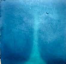 Load image into Gallery viewer, Under Water on Vaca!
